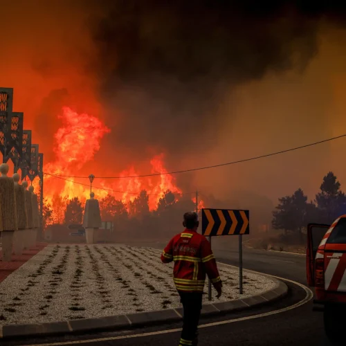 Altas Temperaturas na Europa e Queimadas em Portugal: Um Olhar Sobre o Impacto Climático