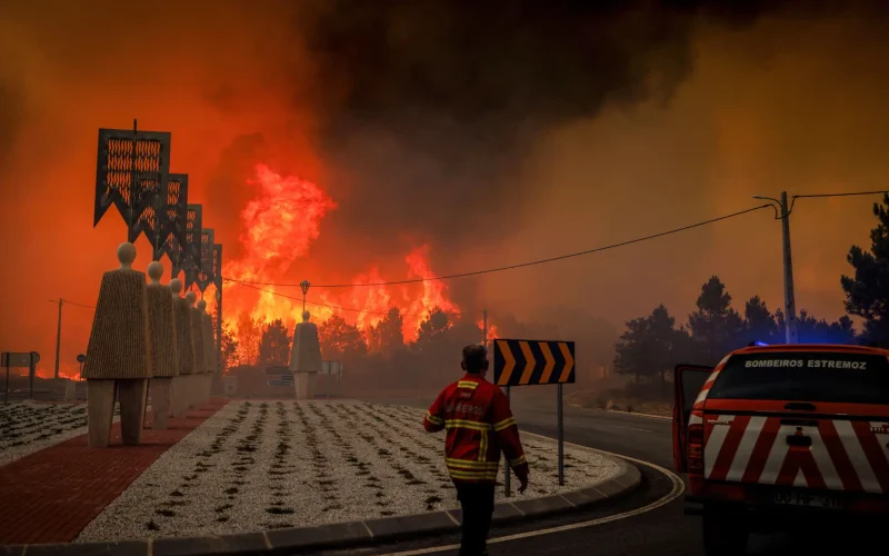Altas Temperaturas na Europa e Queimadas em Portugal: Um Olhar Sobre o Impacto Climático